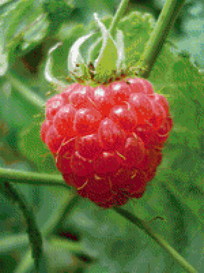 Малиновое настроение. - ягода, малина - предпросмотр