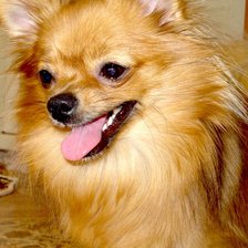 Схема вышивки «Симочка.»