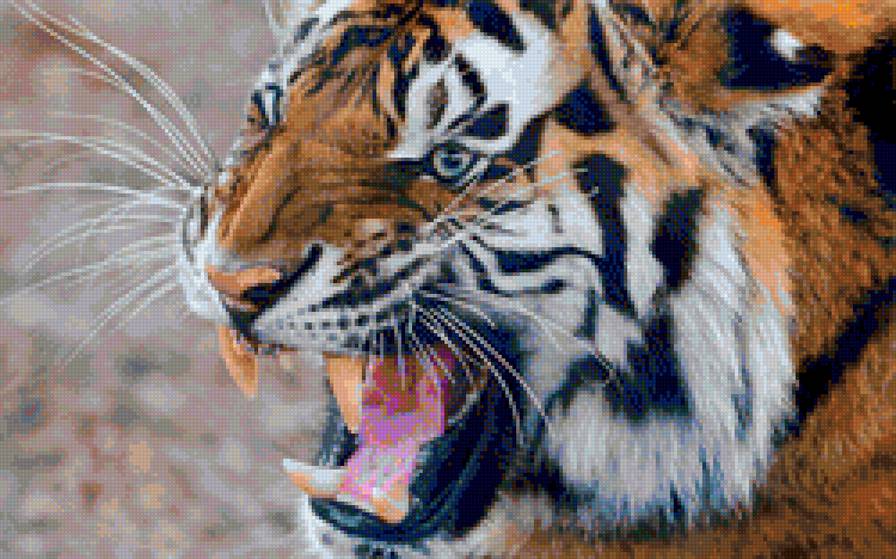 Тигр - предпросмотр