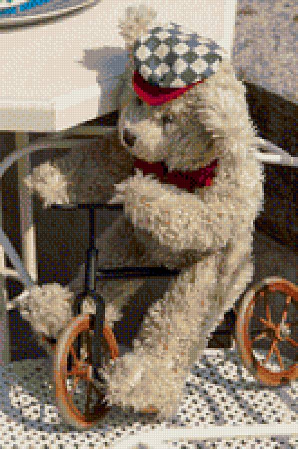 Мишка на велосипеде - мишка - предпросмотр