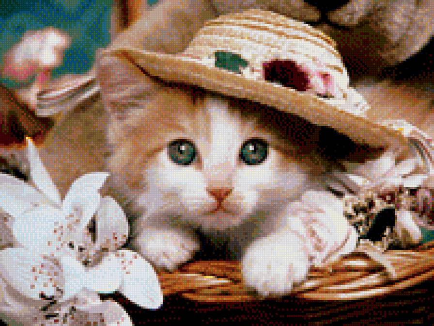 Котенок в шляпке - кот, котята - предпросмотр