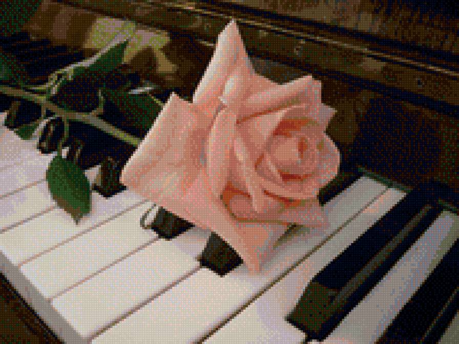 Роза и пианино - роза, пианино - предпросмотр