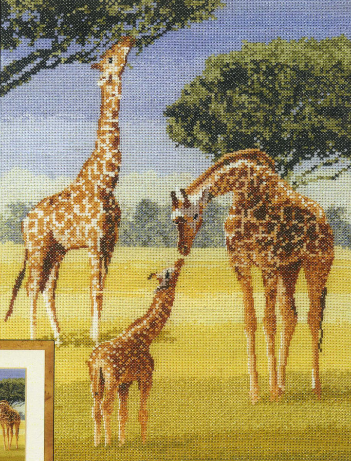 Жирафы - жираф, жирафы, африка - оригинал