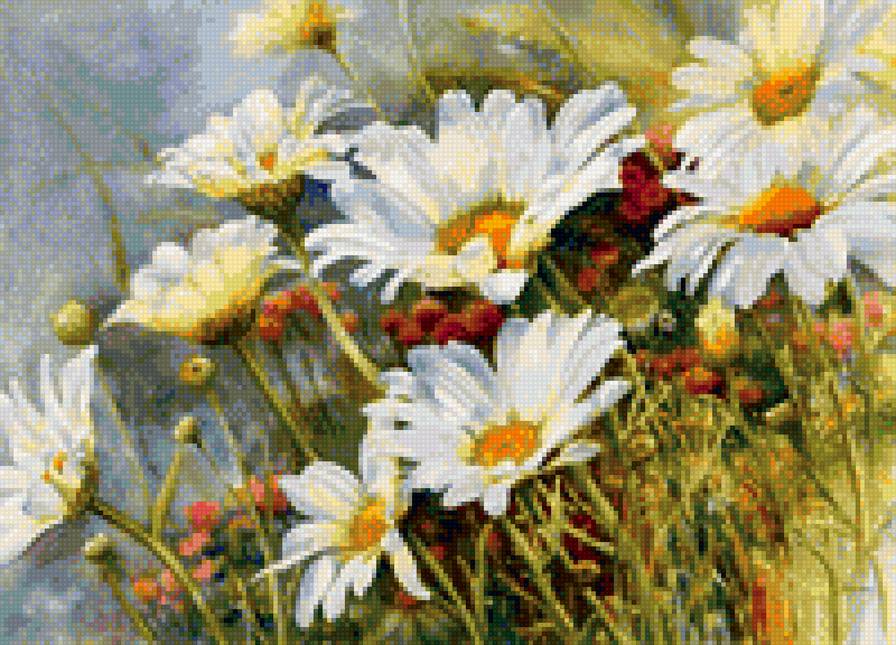 Ромашки - цветы, ромашки - предпросмотр