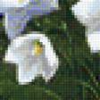 Предпросмотр схемы вышивки «Горные цветы» (№1111062)