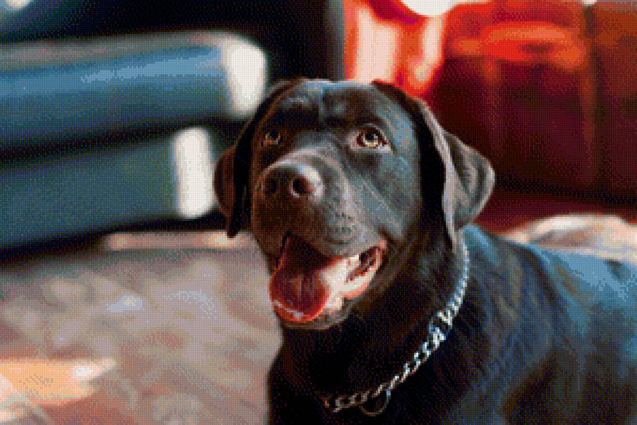 Дарья - предпросмотр