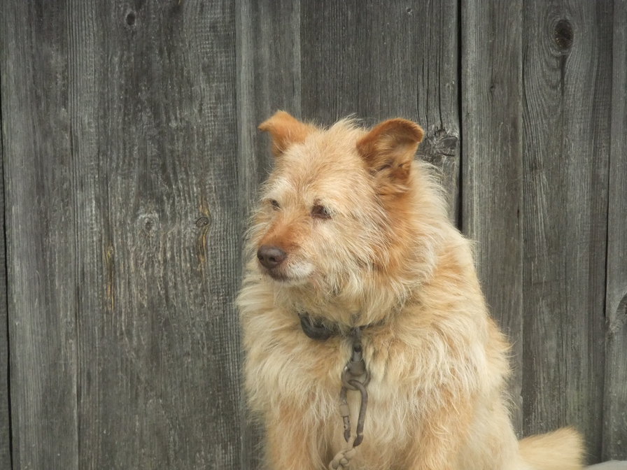 Арбат - оригинал