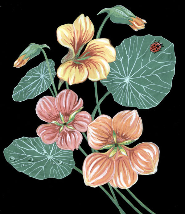 Настурции - настурции, букет, цветы, божья коровка - оригинал