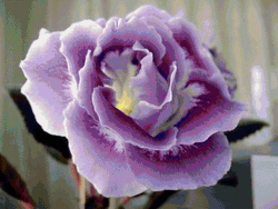 цветочек - предпросмотр