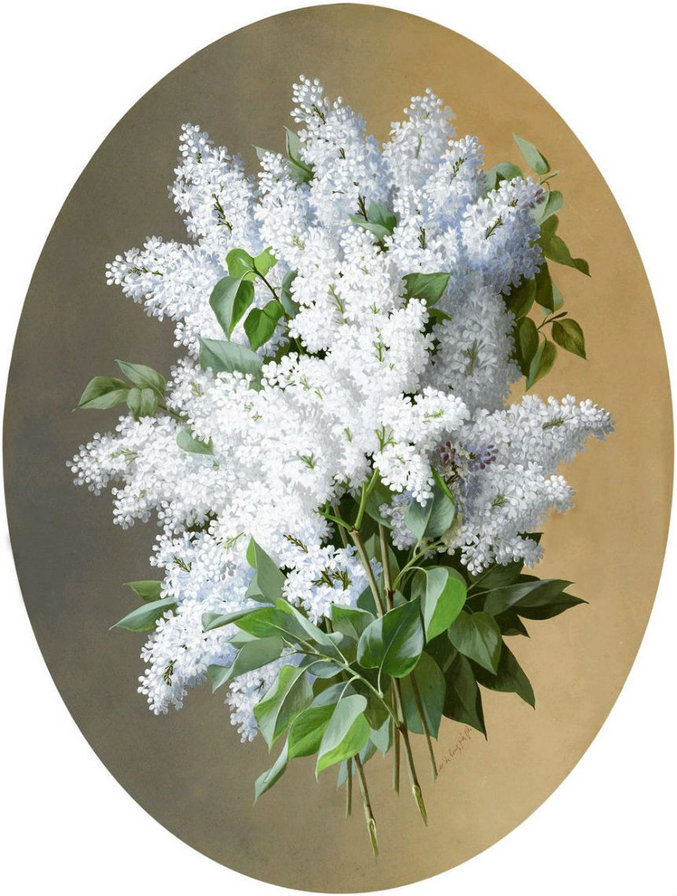 белая сирень - сирень, цветы, букет. - оригинал