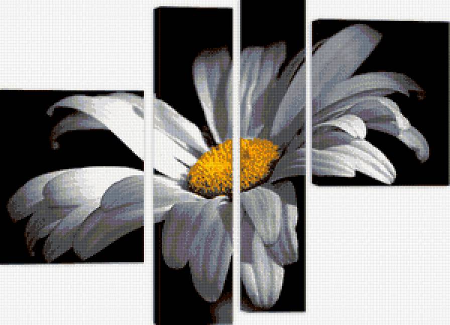 Ромашка - полиптих, черно-белая, цветы, ромашка - предпросмотр