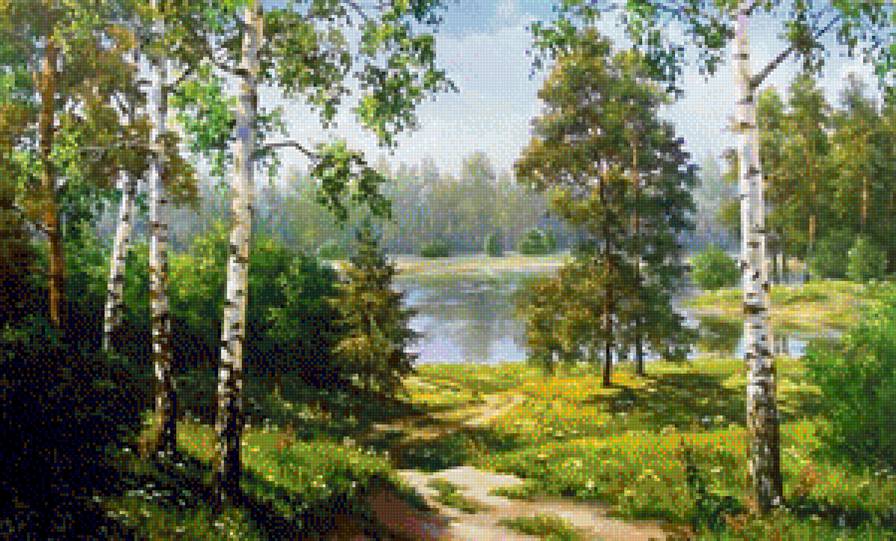 Озеро в лесу - лето, река, березы, лес, озеро - предпросмотр