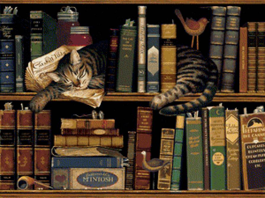 Коты и библиотека-3 (н) - предпросмотр