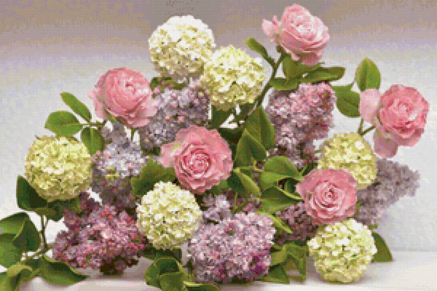 гортензии и розы - букет, цветы, гортензии, розы - предпросмотр