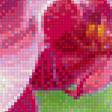 Предпросмотр схемы вышивки «орхидея» (№1112935)