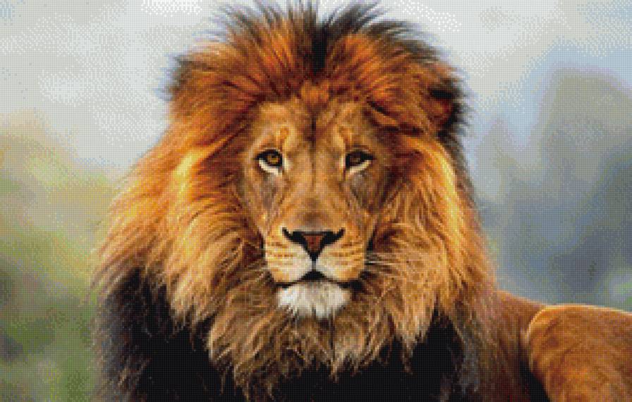 Лёва) - лев, животные, природа - предпросмотр