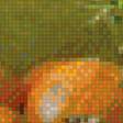 Предпросмотр схемы вышивки «Апельсины» (№1113174)