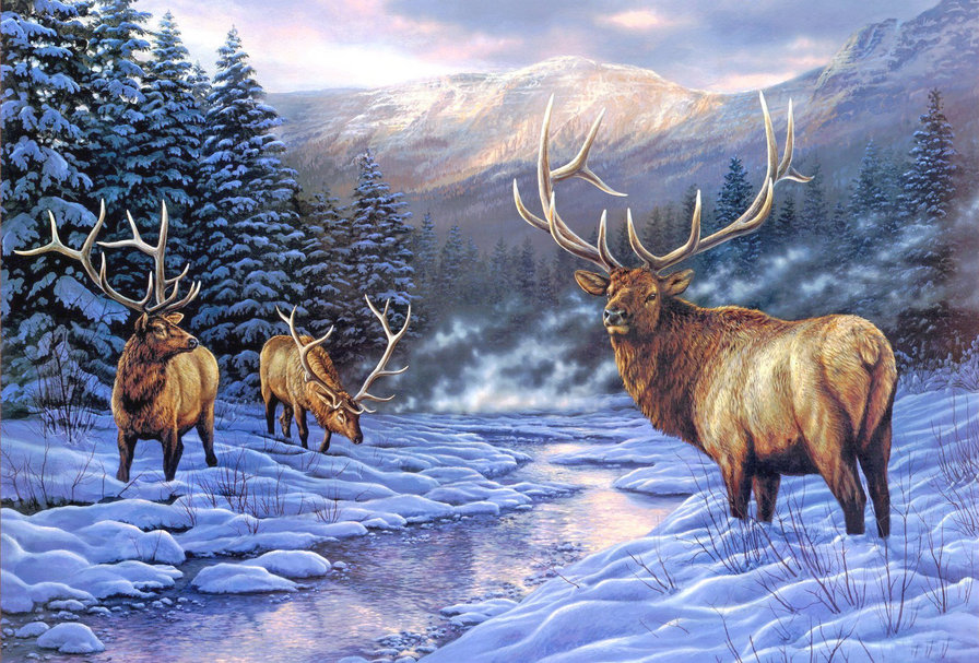 в мире животных - животные, пейзаж, олени, зима, лес, природа - оригинал