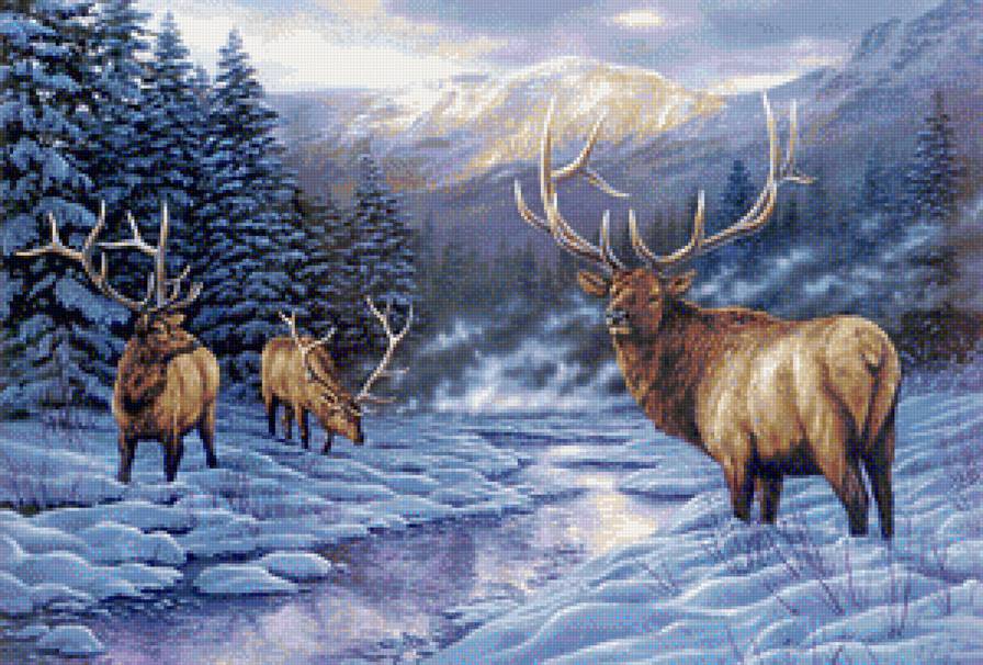 в мире животных - пейзаж, лес, природа, олени, зима, животные - предпросмотр