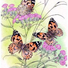 Схема вышивки «лето»