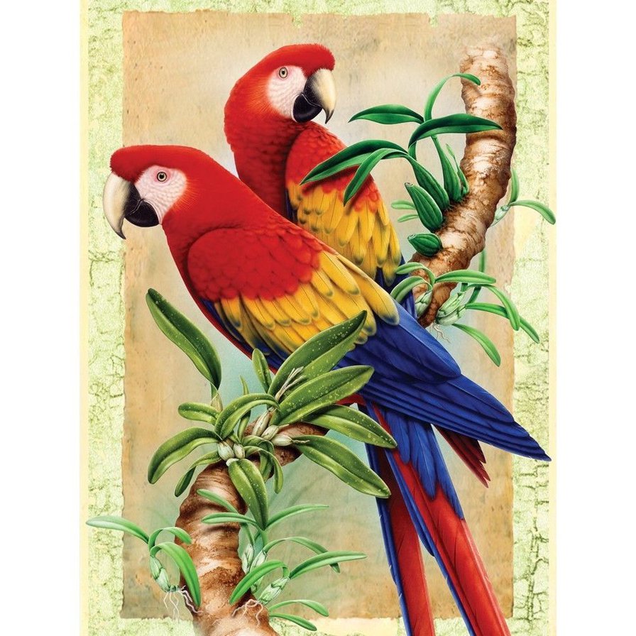 Красочные попугаи на ветке