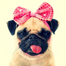 Схема вышивки «№1113297»