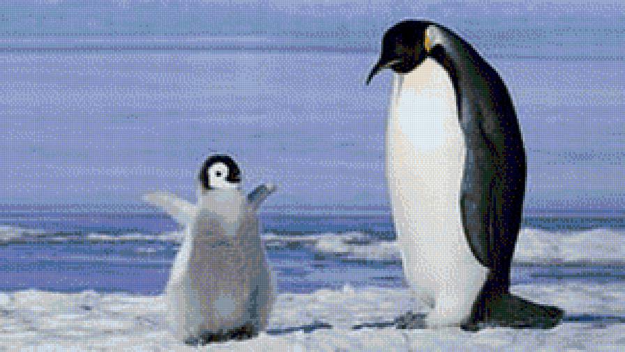 пингвинчик - животные - предпросмотр