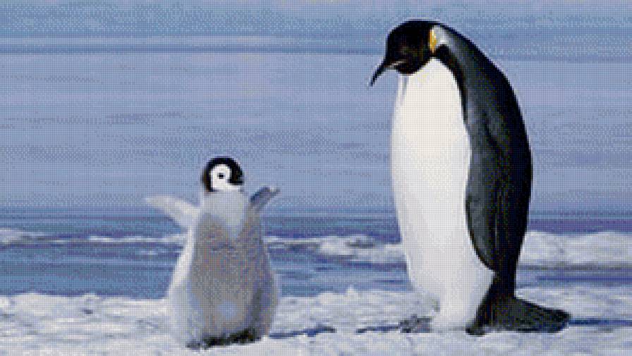 пингвин75 - животные - предпросмотр