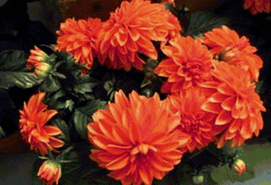 геогины - цветы - предпросмотр