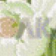 Предпросмотр схемы вышивки «калы» (№1114076)