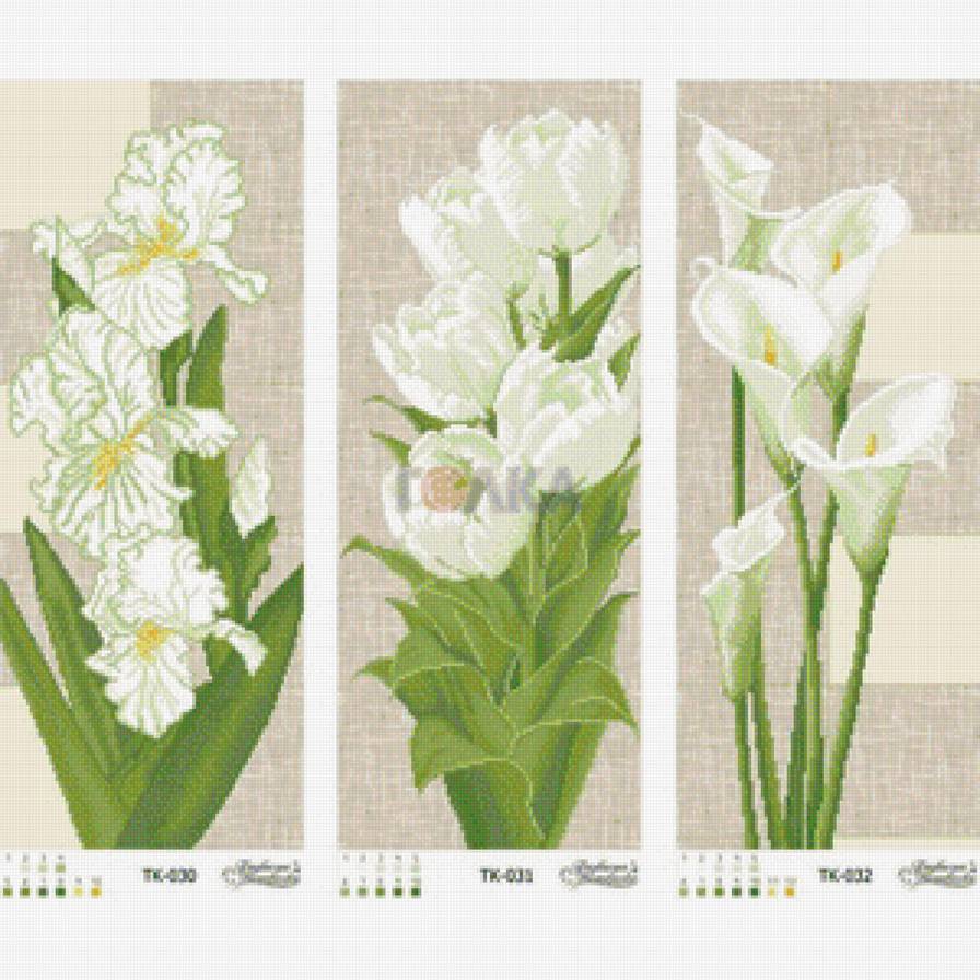 калы - предпросмотр