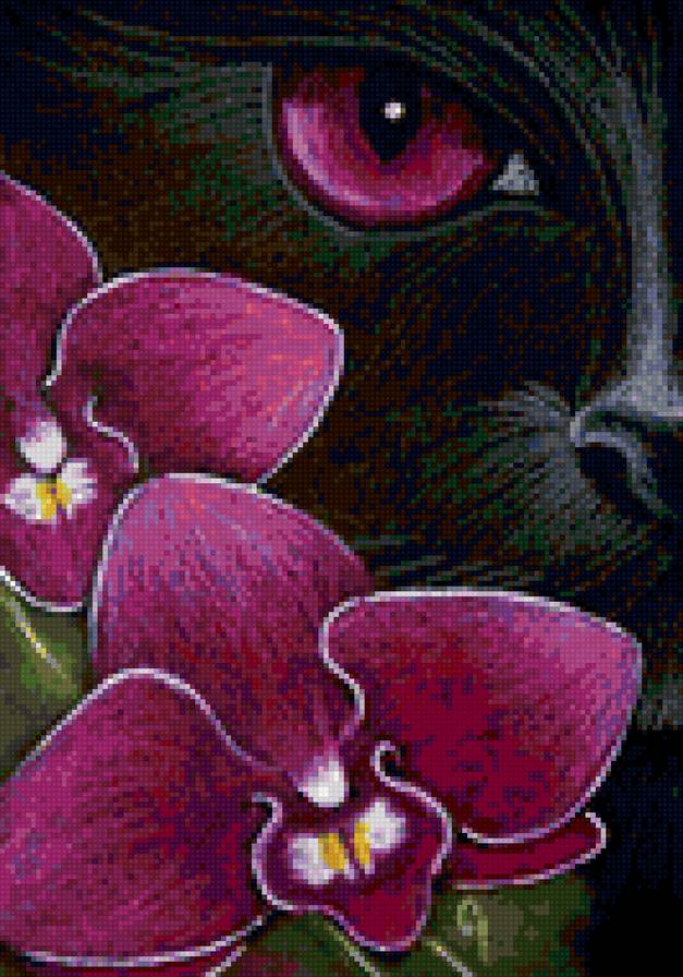 взгляд - предпросмотр