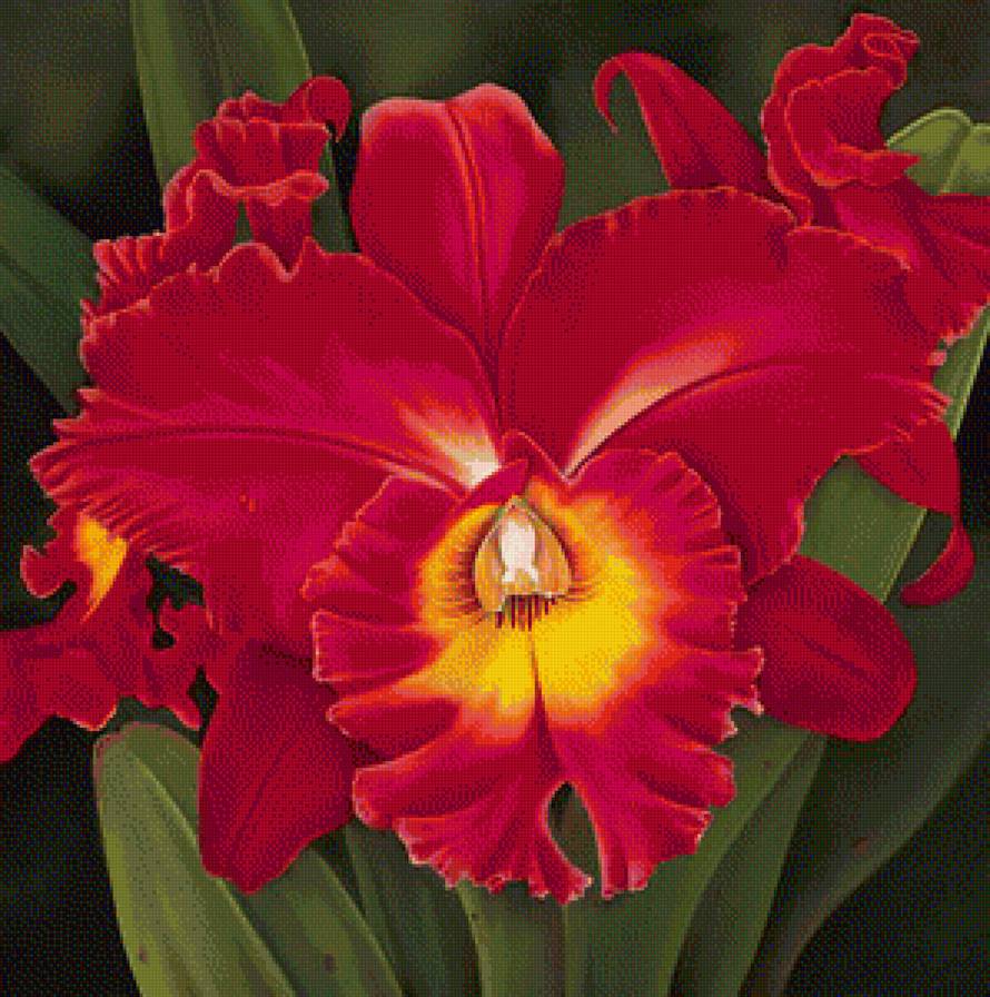 №1114306 - цветы - предпросмотр