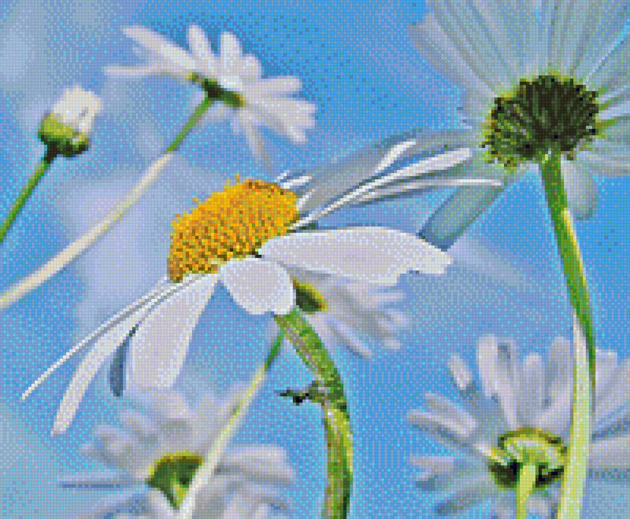 пра - апр - предпросмотр