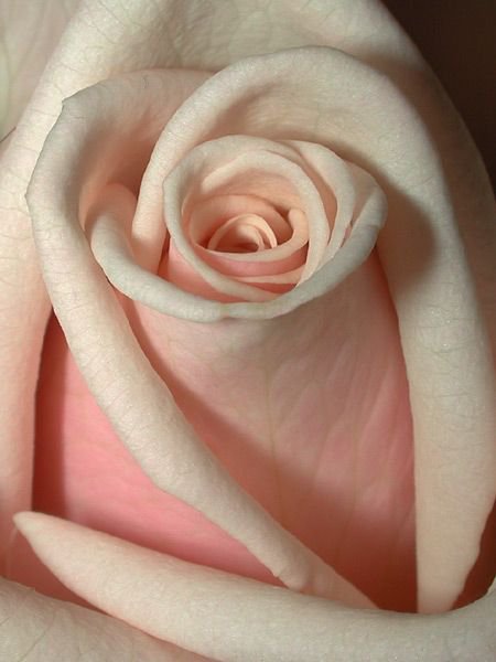 №1115406 - оригинал