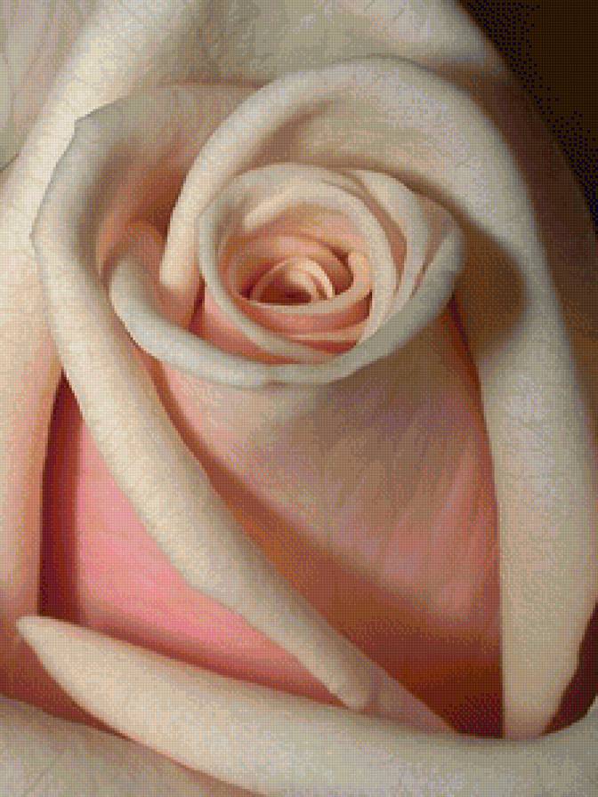 №1115406 - предпросмотр