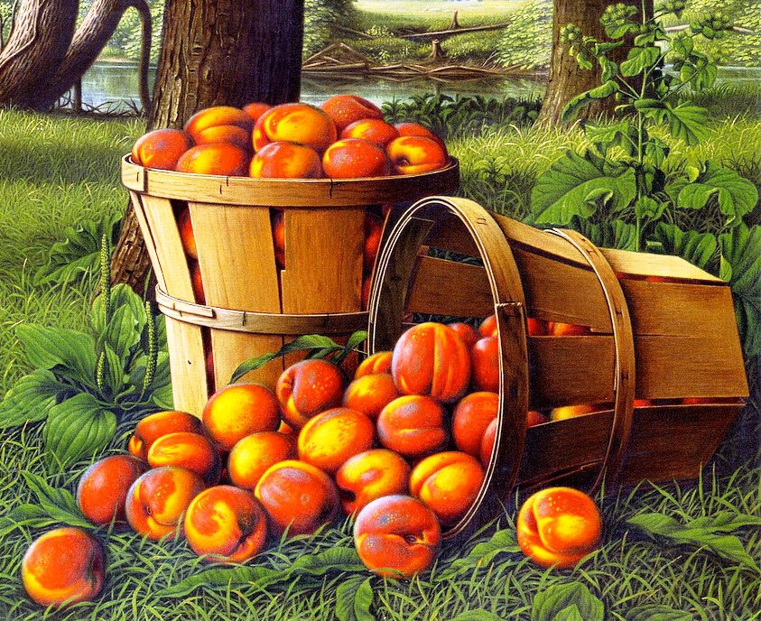 Натюрморт - природа, фрукты, персик, пейзаж - оригинал