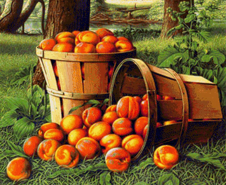 Натюрморт - пейзаж, персик, природа, фрукты - предпросмотр