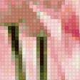 Предпросмотр схемы вышивки «Розовые тюльпаны» (№1115805)