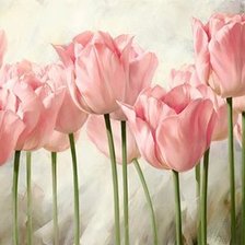 Оригинал схемы вышивки «Розовые тюльпаны» (№1115805)