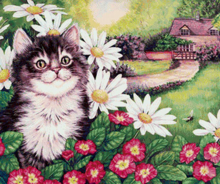дачный кот - домик, ромашки, цветы - предпросмотр