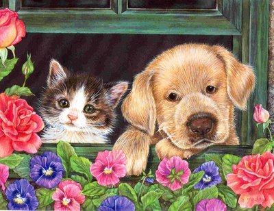 друзья - кот, собака, цветы - оригинал