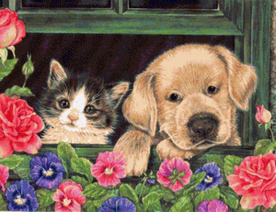 друзья - цветы, собака, кот - предпросмотр