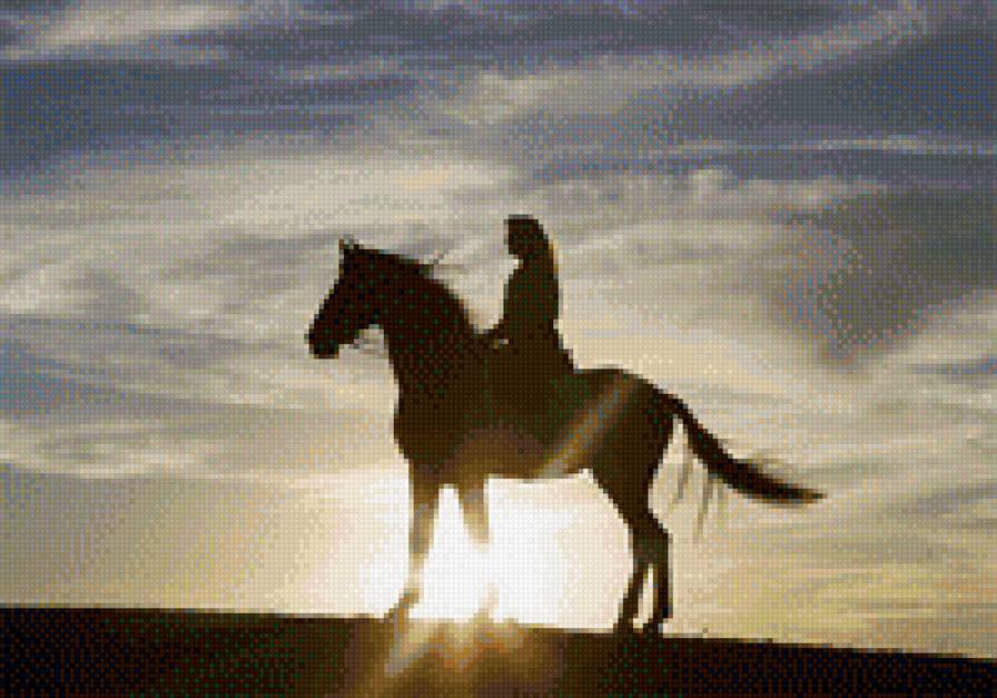 Всадница на фоне заката - лошади, девушка, всадница, закат, животные - предпросмотр