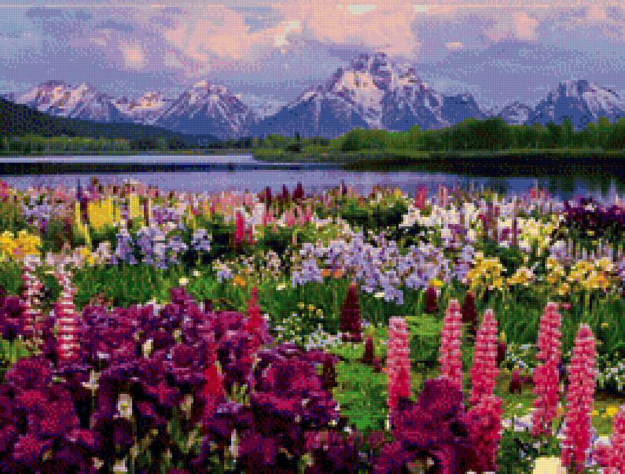 Долина цветов, Индия - горы, пейзаж, цветы - предпросмотр