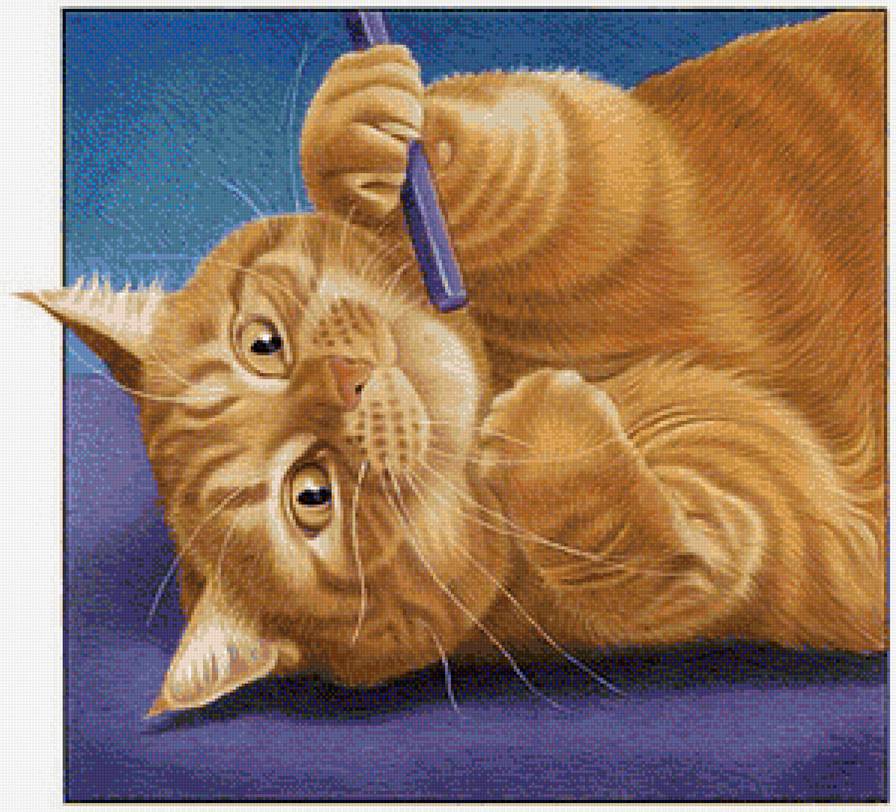 рыжик - животные, коты - предпросмотр