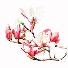 Схема вышивки «цветы1»