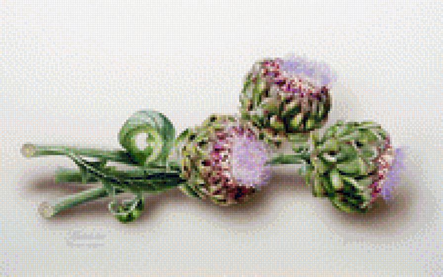 артишок - овощи и фрукты - предпросмотр