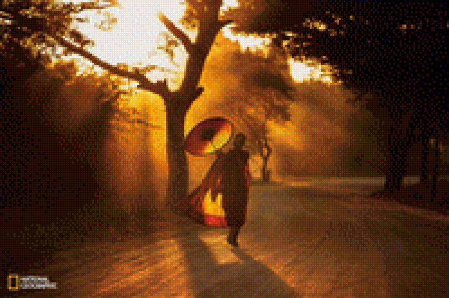 девушка под зонтом - закат, пейзаж, зонт, девушка - предпросмотр