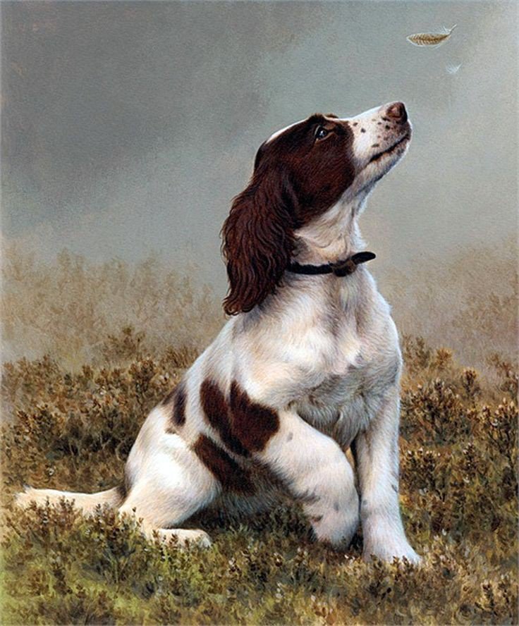 Первая охота. - охота, щенок, собака, перья, туман - оригинал